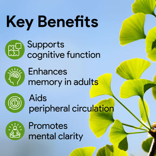 Nutridom Ginkgo Biloba 12000 (Extra Strength), 240mg, 60 Vegetable Capsules