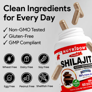 Nutridom Shilajit 500mg 60 Vcaps