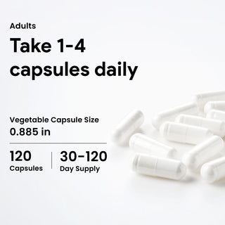 Nutridom GABA 750, 750mg 120 Vegetable Capsules