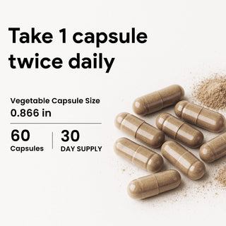 Nutridom Shilajit 500mg 60 Vcaps