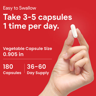 Nutridom Creatine Monohydrate 1000mg 180 Vcaps