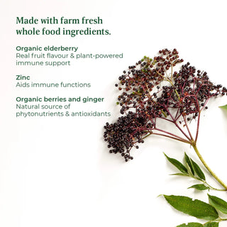 MegaFood Elderberry Immune Support - Gummies 54ct