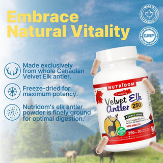 Nutridom Canadian Velvet Elk Antler, 250mg ,30 Veggie Capsules - CAFORIA.CA