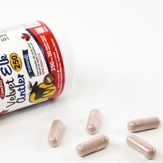 Nutridom Canadian Velvet Elk Antler, 250mg ,30 Veggie Capsules - CAFORIA.CA