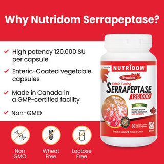 Nutridom Serrapeptase 120,000 SPU, 60 mg, 60 Veggie Capsules - 6 PACK - CAFORIA.CA