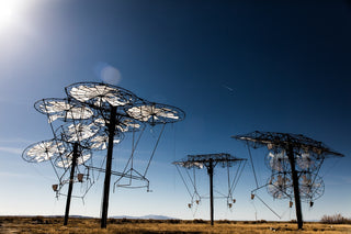 Unlock the Power of A.Vogel Prostate 1 Organic Saw Palmetto Capsules for Prostate Health