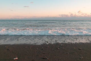 Discover the Proven Efficacy of A. Vogel Echinaforce Echinacea Drops