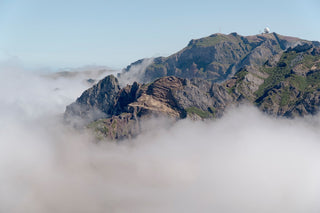 Unveiling the Truth: Does Arthgold Joint Pain Relief Really Work?