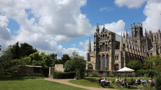 Boost Your Child's Immune System with the Best Supplements