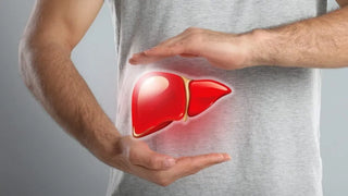 Unlock the Secret to Better Liver Health with TUDCA