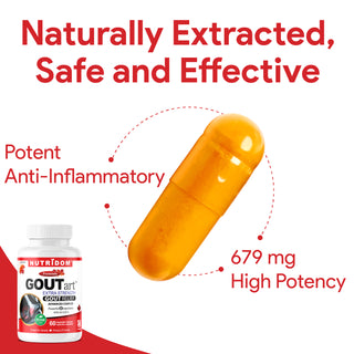 Nutridom GOUTart Extra Strength 679mg 60Vcaps