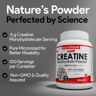 Nutridom Creatine Monohydrate Powder 500g (Micronized, 100 Servings Portions)
