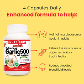 Nutridom Odourless Garlic Concentrate, 120 Softgels