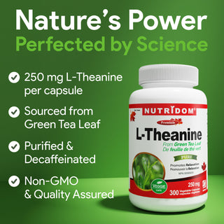 Nutridom L-Theanine 250mg from Green Tea Leaf, 250mg, 300 Vegetable Capsules