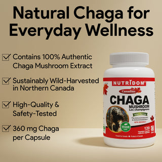 Nutridom Canadian Chaga Mushroom, 360 mg, 120 Veggie Capsules