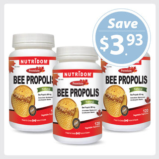 Nutridom Bee Propolis, 500 mg, 120 Veggie Capsules - 3 PACK