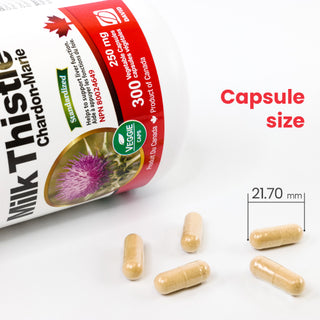 Nutridom 奶蓟草，80% 水飞蓟素，250 毫克，300 粒素食胶囊
