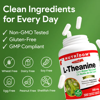 Nutridom L-Theanine 250mg from Green Tea Leaf, 250mg, 300 Vegetable Capsules