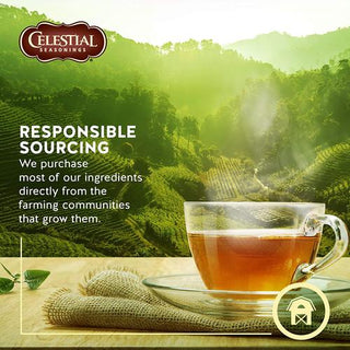 Celestial Seasoning Herbal Tea - Lemon Zinger 45g (20 Tea Bags)