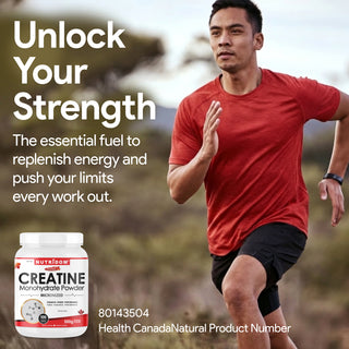 Nutridom Creatine Monohydrate Powder 500g (Micronized, 100 Servings Portions)