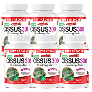 Nutridom Cissus Quadrangularis, 150 mg, 2.5% Ketosteroids, 120 Veggie Capsules - 6 PACK