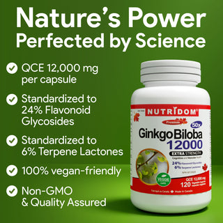 Nutridom Ginkgo Biloba 12000 (Extra Strength), 240mg, 120 Vegetable Capsules