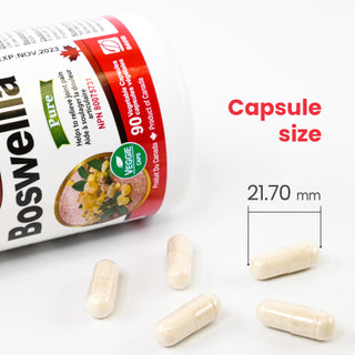 Nutridom Boswellia Serrata，40% 乳香酸，90 粒素食胶囊