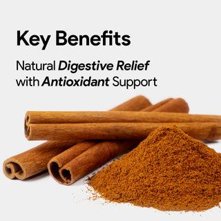 Nutridom Ceylon Cinnamon, 600mg, 120 Vegetable Capsules