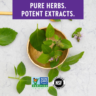 뉴 챕터 홀리 바질 포스™ 60캡슐