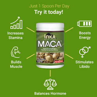 Inka Maca Organic Powder, 10.5 oz (300 g)