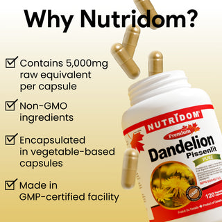 Nutridom 蒲公英根提取物，500 毫克，120 粒素食胶囊
