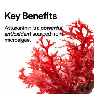 Astaxanthin 15 mg dietary supplement capsules
