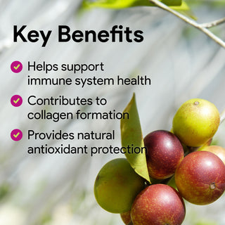 Nutridom CamuCamu500 500mg 120 Vegetable Capsules (Super Antioxidant)