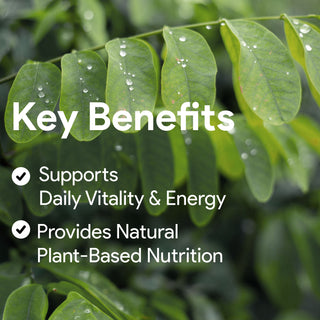 Nutridom Moringa Leaf 500mg 300 Vegetable Capsules (Organically Sourced, Antioxidants)