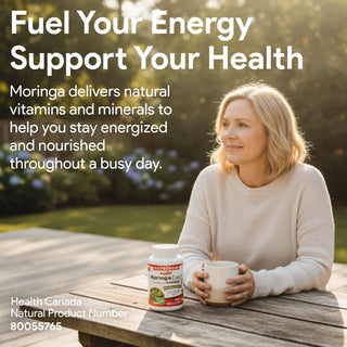 Nutridom Moringa Leaf 500mg 300 Vegetable Capsules (Organically Sourced, Antioxidants)