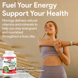 Nutridom Moringa Leaf 500mg 300 Vegetable Capsules (Organically Sourced, Antioxidants)