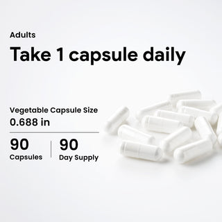 Nutridom Moringa Leaf 500mg 300 Vegetable Capsules (Organically Sourced, Antioxidants)