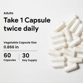 Nutridom Resveratrol500 500mg 60 Vegetable Capsules (Maximum Strength / 99% Trans-Resveratrol / Antioxidant)