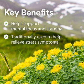 Nutridom Rhodiola 200mg 60 Vegetable Capsules (Cognitive Health, Stress Relief)