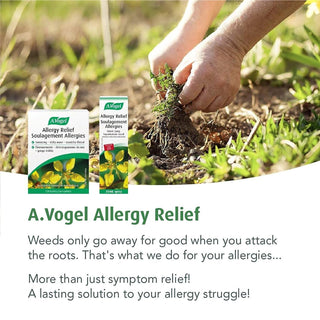 A. Vogel Allergy Relief 120 Tabs - CAFORIA.CA