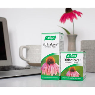 A. Vogel Echinaforce Echinacea Drops 100ml - CAFORIA.CA