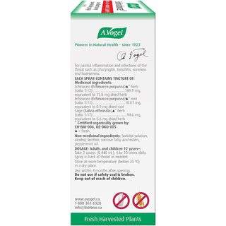 A. Vogel Echinaforce Sore Throat Spray 30ml - CAFORIA.CA