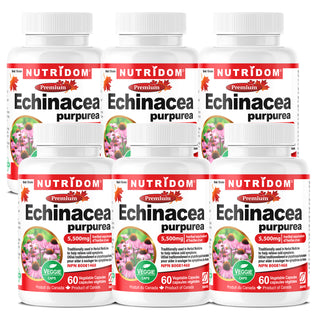 Nutridom Echinacea Purpurea, 5,500 mg, 60 베지 캡슐 - 6 팩 