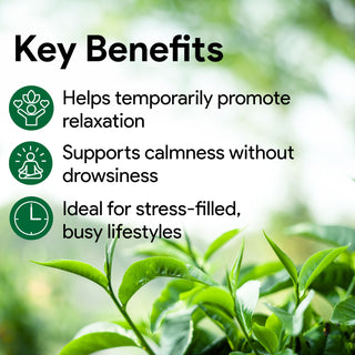 Nutridom L-Theanine 250mg from Green Tea Leaf, 250mg, 300 Vegetable Capsules