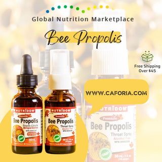 Nutridom Bee propolis Drop Gift Set (30 ml x 6)