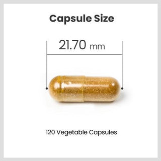Arthgold Max 850mg 120 Vcaps - 3Pack - CAFORIA.CA