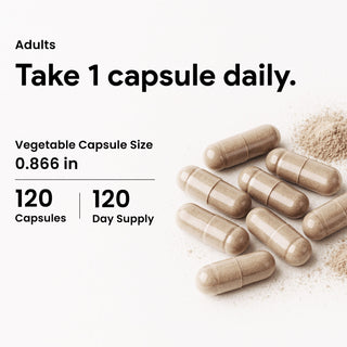 Nutridom Ginkgo Biloba 12000 (Extra Strength), 240mg, 120 Vegetable Capsules