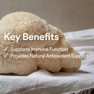 Nutridom Lions Mane 10x, 550mg, 180 Vegetable Capsules (5500mg Equivalent / 40% Polysaccharides)