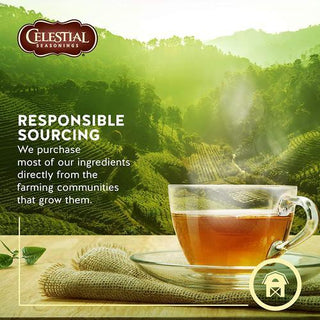 Celestial Seasoning Herbal Tea - Black Cherry Berry 44g (20 Tea Bags) - CAFORIA.CA