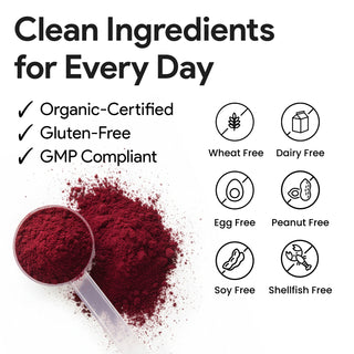 Nutridom Red Beetroot Powder 454g (1lb, Organically Sourced)